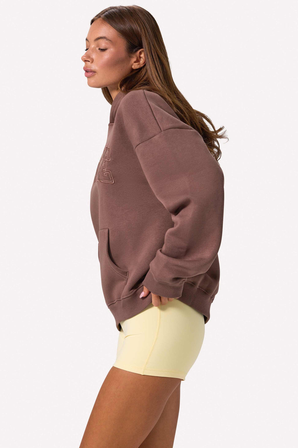 Embroidered Oversized Hoodie In Cocoa
